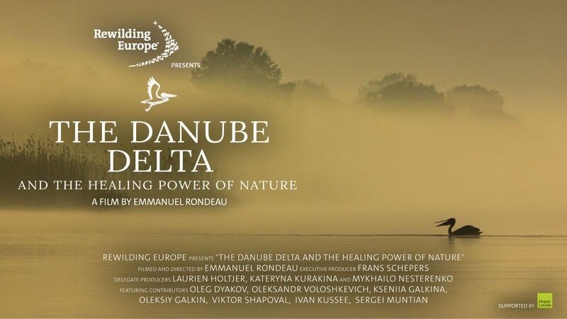 The Danube Delta and the Healing Power of Nature poster
