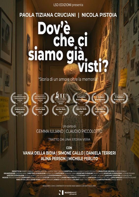 Dov'è che ci siamo già visti? poster